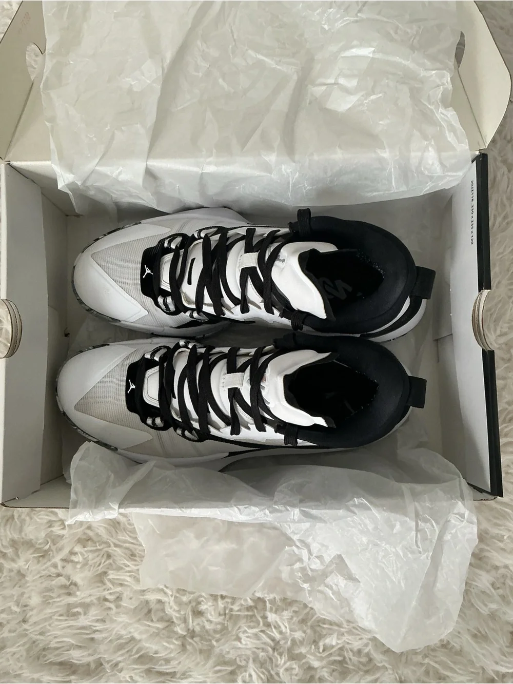 Jordan nike air
